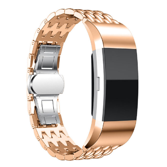 fb.m27.yg Fitbit Charge 2 Band in Yellow Gold