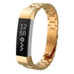 fb.m8.yg Two Tone Stainless Steel Band in Yellow Gold