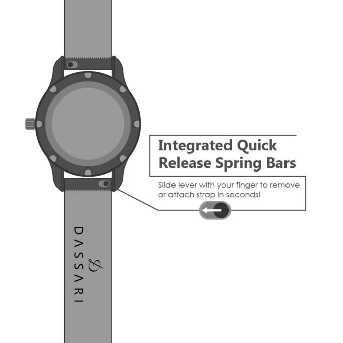 Integrated Quick Release Spring Bars W Dassari Logo