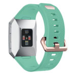 Fb.r18.11.rg Back Fitbit Ionic Silicone Rubber Sports Strap In Green