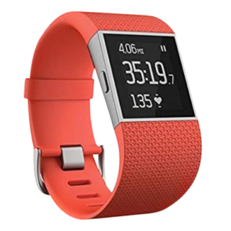 Fitbit Surge Bands