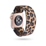 A.ny5.101 Main Leopard StrapsCo Nylon Elastic Band Strap For Apple Watch 38mm 40mm 42mm 44mm