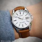 ds18 professional watch reviews