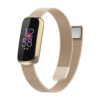 fb.m146.tg Main Retro Gold StrapsCo Stainless Steel Mesh Watch Band for Fitbit Luxe