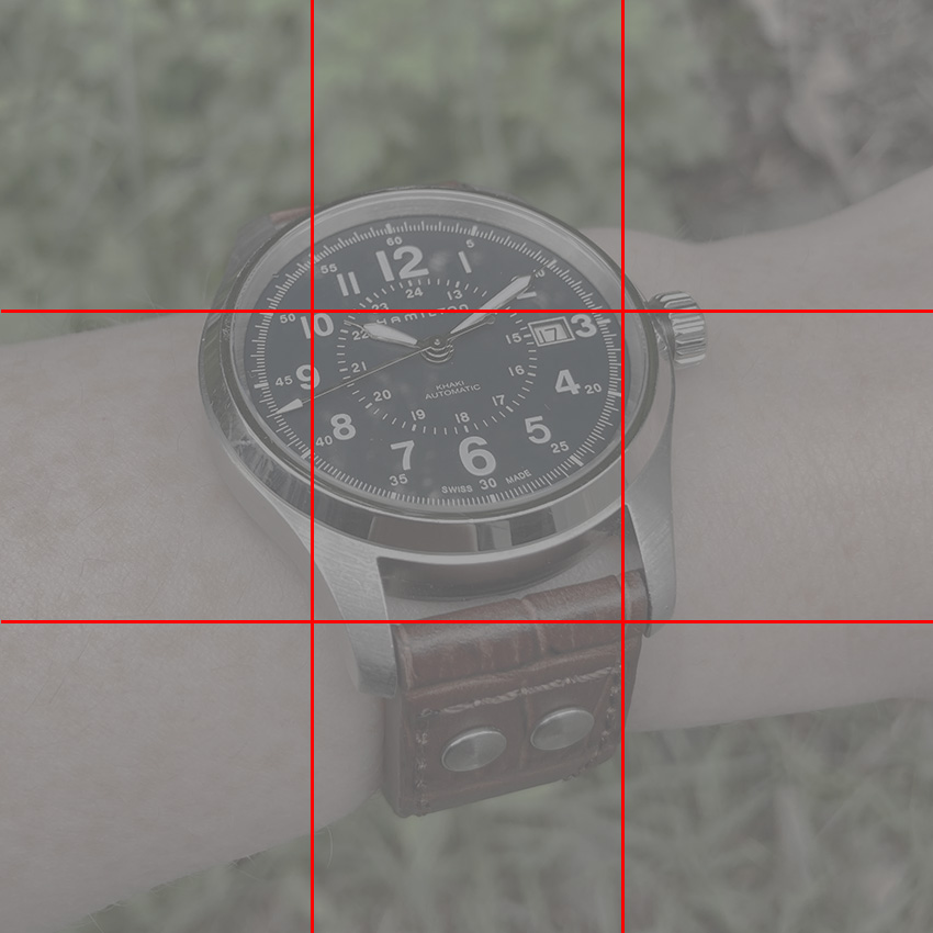 How To Take The Perfect Wrist Shot Rule Of Thirds Grid