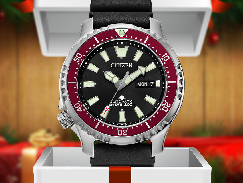 top affordable watches to gift for the holidays citizen promaster dive automatic