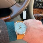 <span class="product-title-compatibility">Classic Suede Strap <br><small>With Quick Release</small></span>