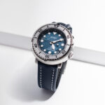 <span class="product-title-compatibility">Sailcloth Strap <br><small>By DASSARI</small></span>